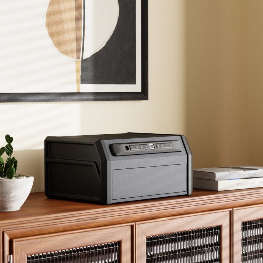 High Capacity Handgun Safe with Biometric Fingerprint Lock-RP19002