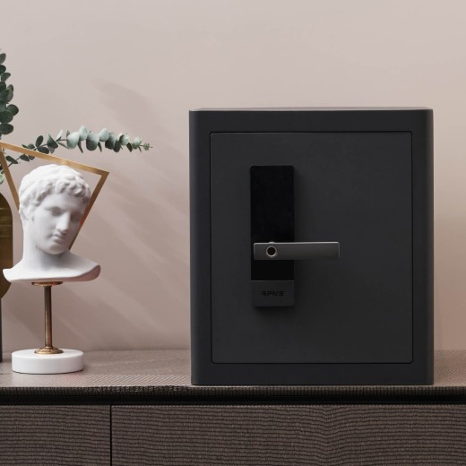Fingerprint Home Safe With LED Light Internal, Luxury Closet Safe, 1.6 Cubic Feet, RPNB RPHS45