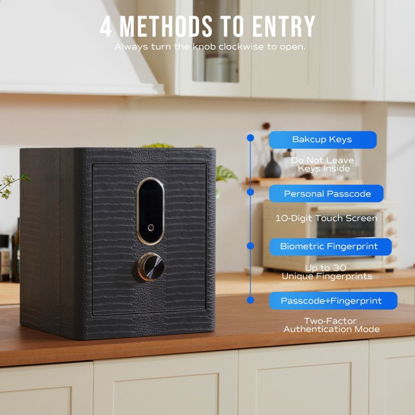 RPNB Luxury Leatherette Wrapped Biometric Fingerprint Home Safe with Touch Screen, 2.3 Cubic Feet, RPNB RPLH50